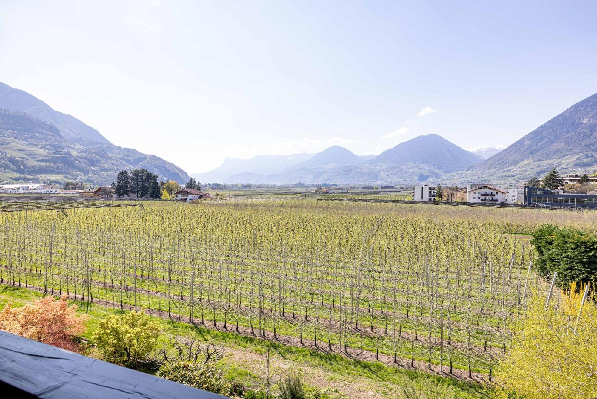Residence Pollingerhof Merano Dış mekan fotoğraf